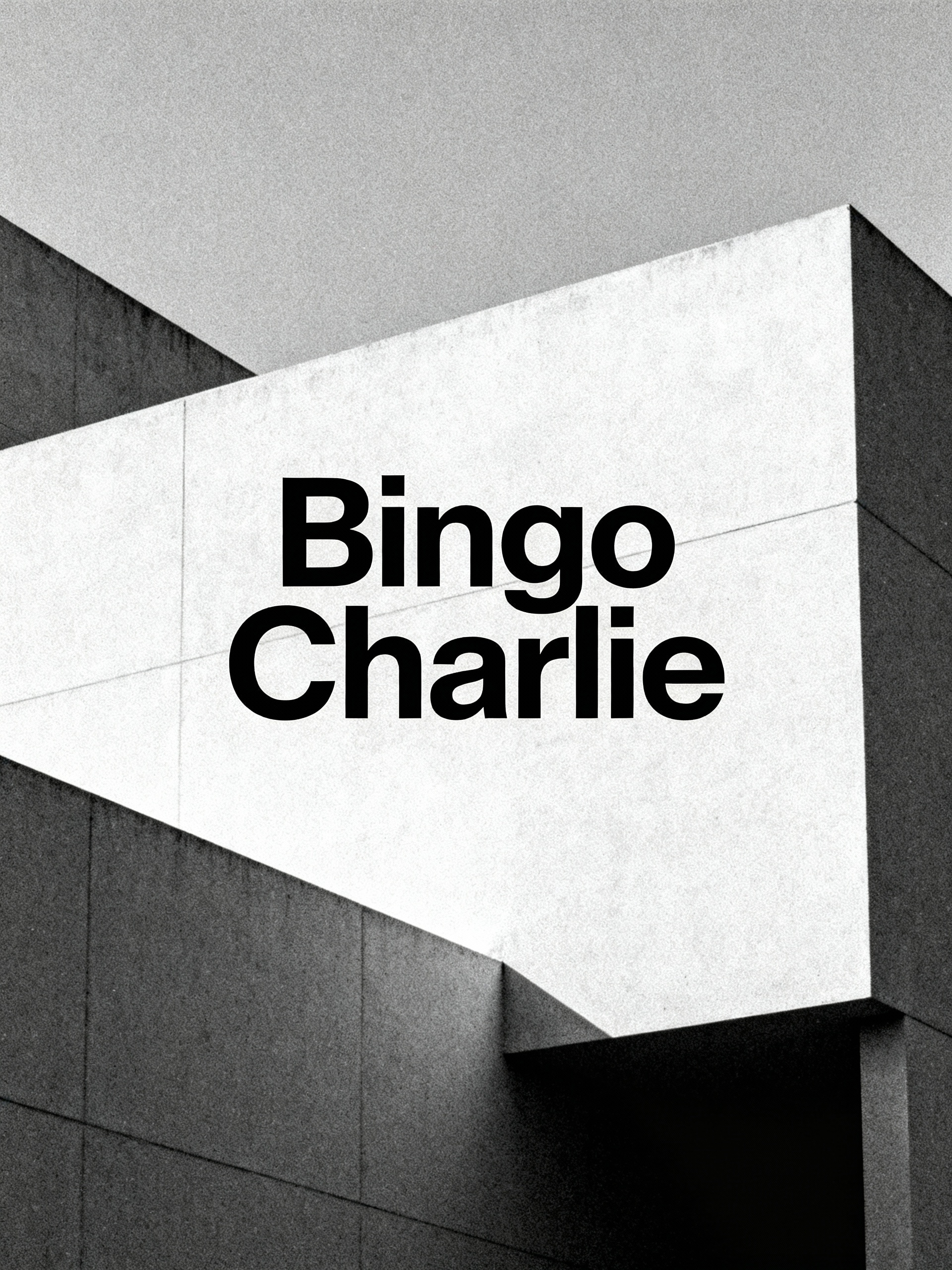 Bingo Charlie